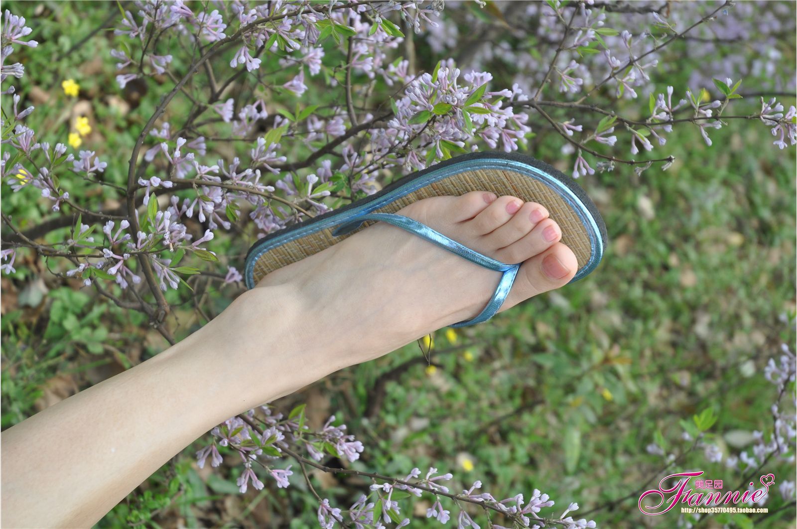 Fannie芬妮高清原图之花仙子2011（3）NO.176